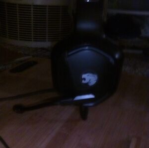 Gamer headphones w/mic
